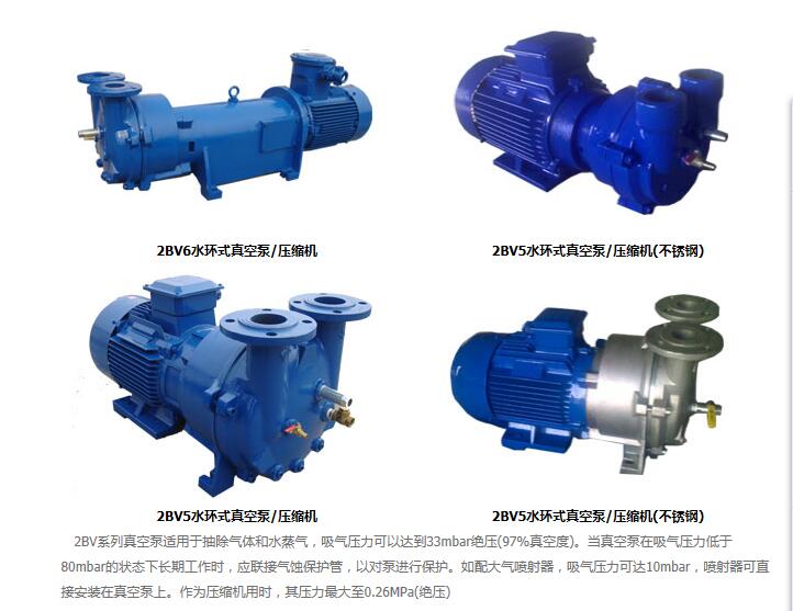 2BV系列水环真空泵